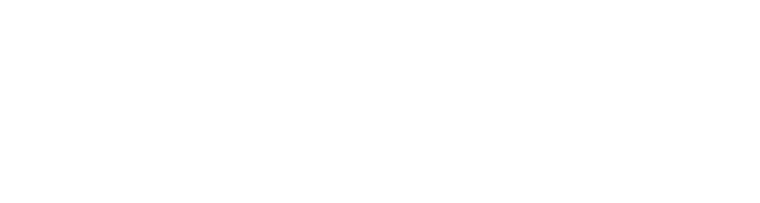 Direct Policy Foundation